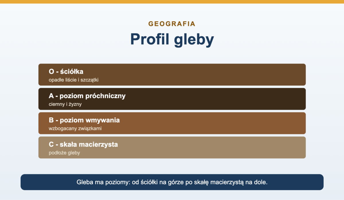 Gleby - rodzaje, poziomy i powstawanie