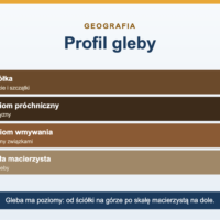 Gleby - rodzaje, poziomy i powstawanie