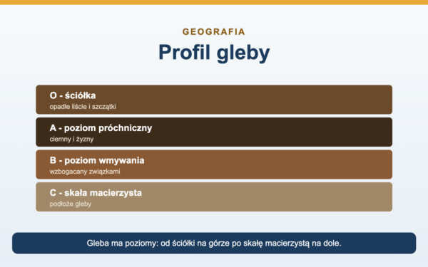 Gleby - rodzaje, poziomy i powstawanie