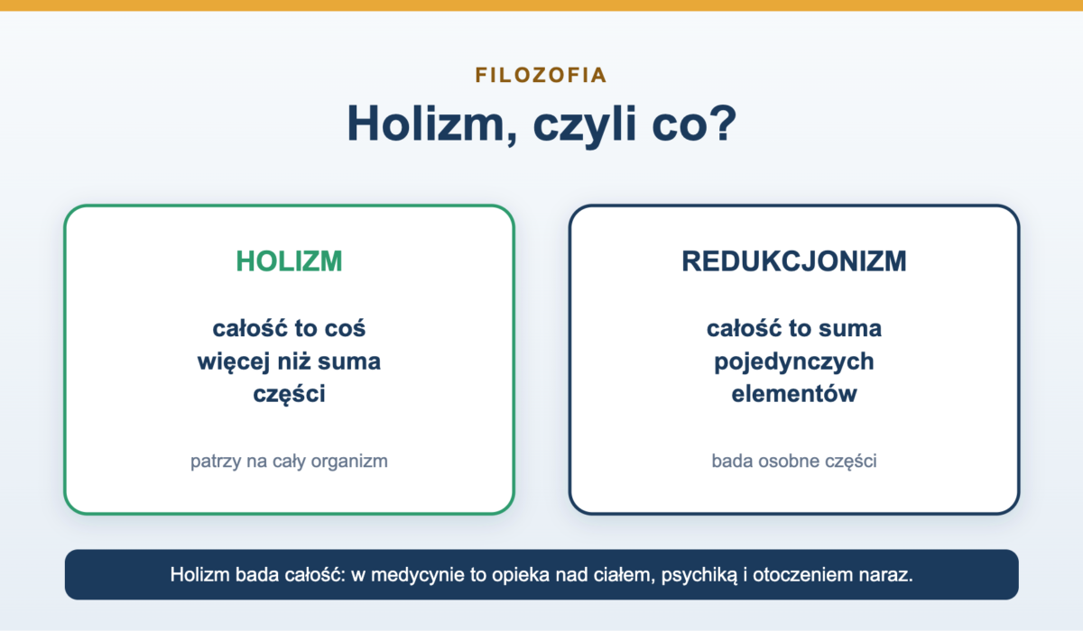 Holizm - co to znaczy i czym różni się od redukcjonizmu