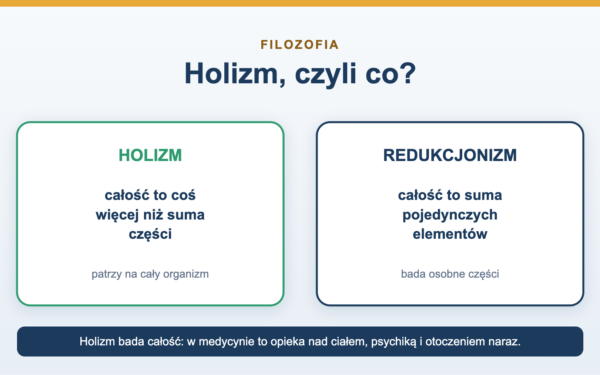 Holizm - co to znaczy i czym różni się od redukcjonizmu