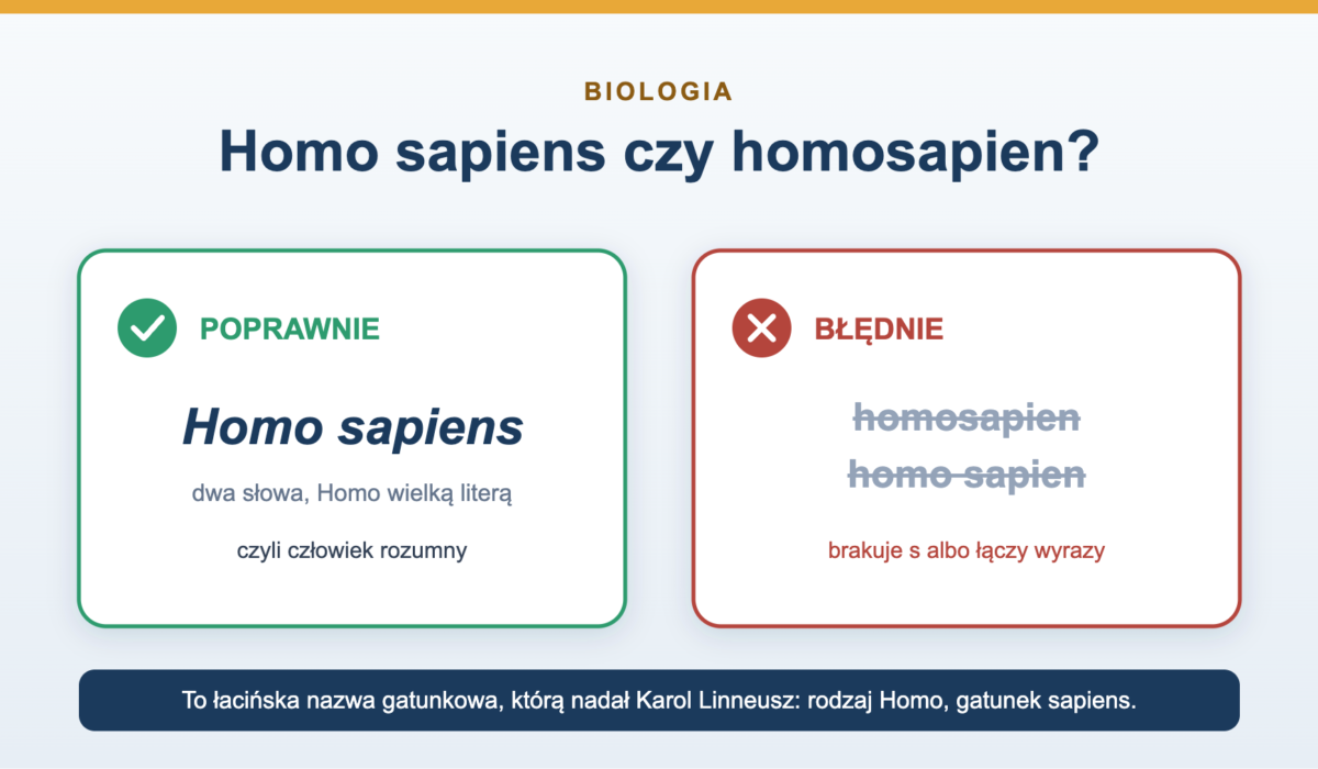 Homo sapiens czy homosapien - poprawny zapis i znaczenie