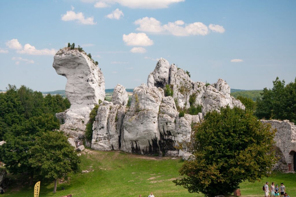 Wapienne skałki Wyżyny Krakowsko-Częstochowskiej