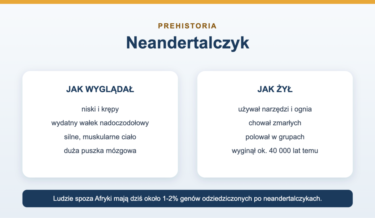 Neandertalczyk - cechy, wygląd i dlaczego wymarł