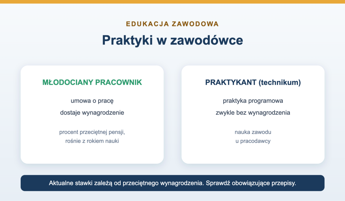 Praktyki w zawodówce - ile się zarabia i jak działają