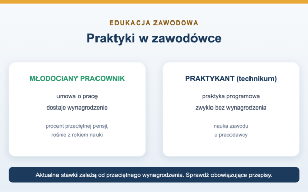 Praktyki w zawodówce - ile się zarabia i jak działają