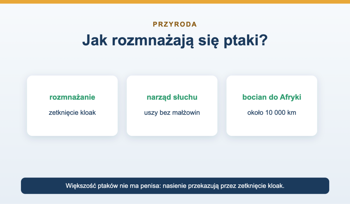 Jak rozmnażają się ptaki - kopulacja, słuch i migracja