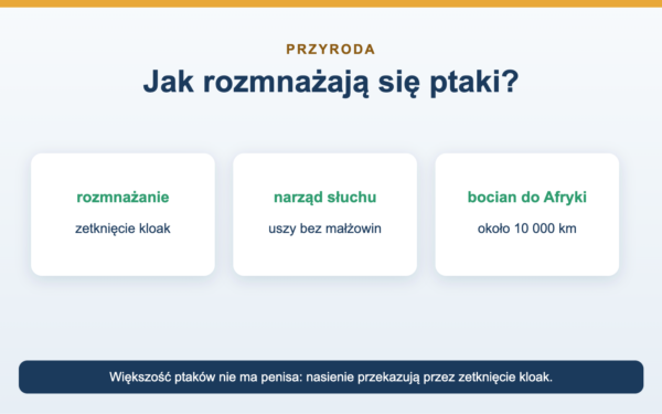 Jak rozmnażają się ptaki - kopulacja, słuch i migracja