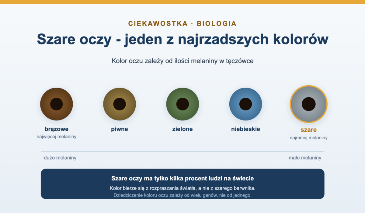 Szare oczy - ciekawostki o najrzadszym kolorze oczu