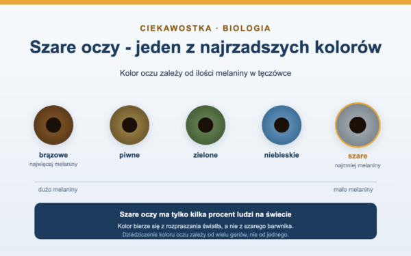 Szare oczy - ciekawostki o najrzadszym kolorze oczu