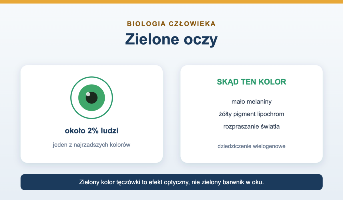 Zielone oczy - skąd się biorą i dlaczego są rzadkie