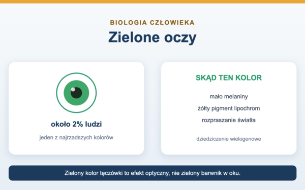 Zielone oczy - skąd się biorą i dlaczego są rzadkie
